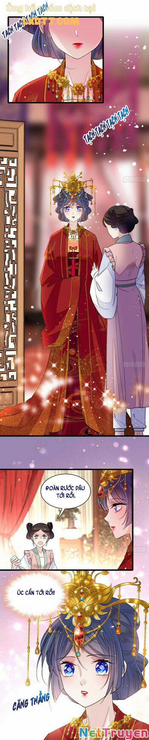 Tự Cẩm 134 trang 5