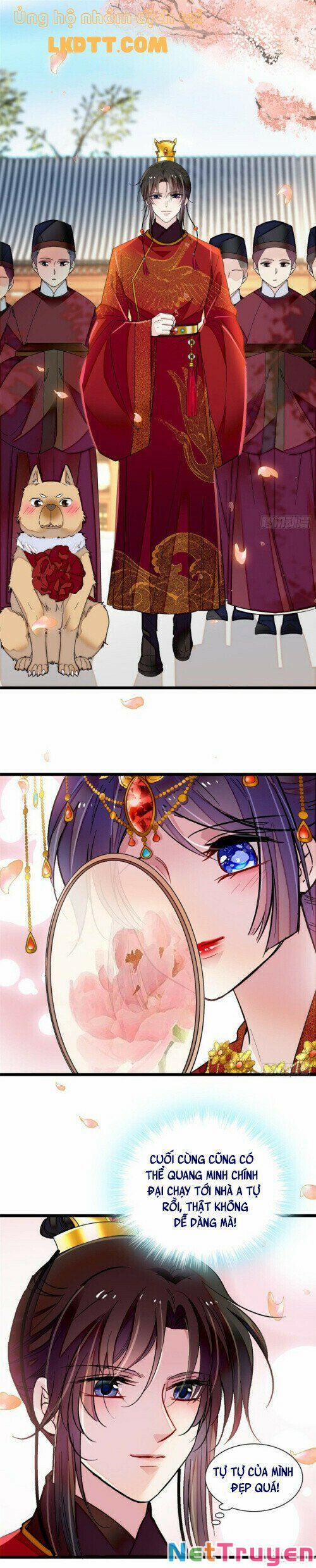 Tự Cẩm 134 trang 7