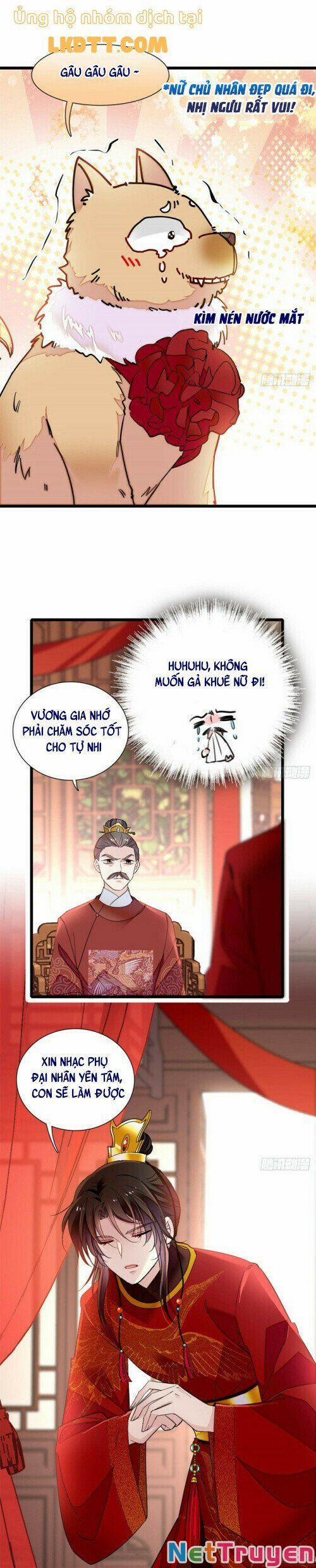 Tự Cẩm 134 trang 8