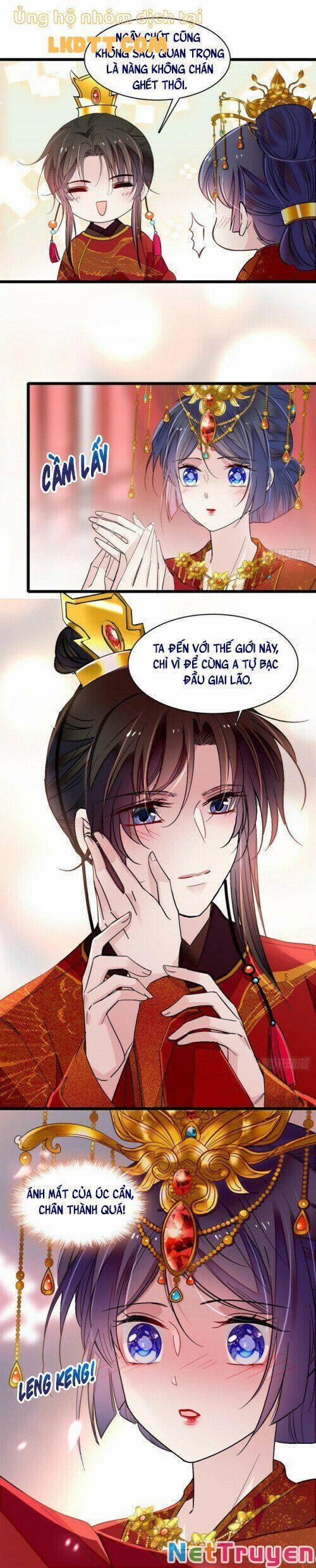 Tự Cẩm 135 trang 6