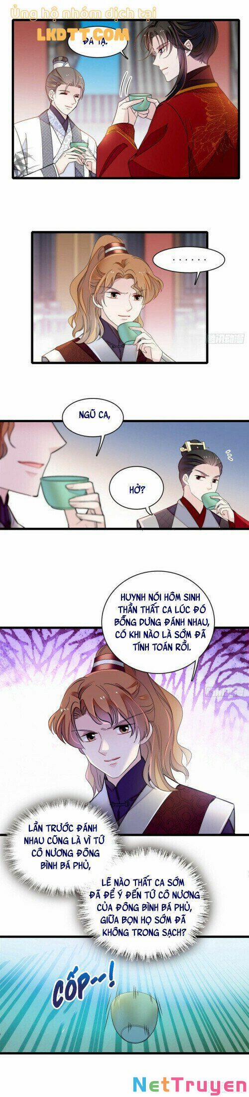 Tự Cẩm 135 trang 9