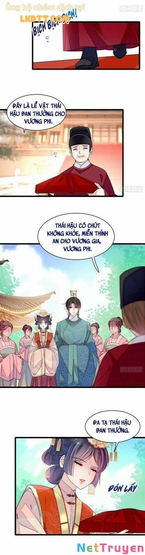 Tự Cẩm 136 trang 10