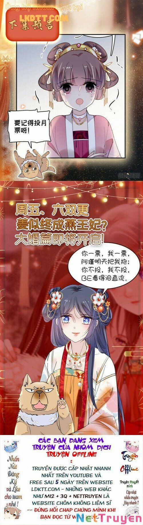 Tự Cẩm 136 trang 13