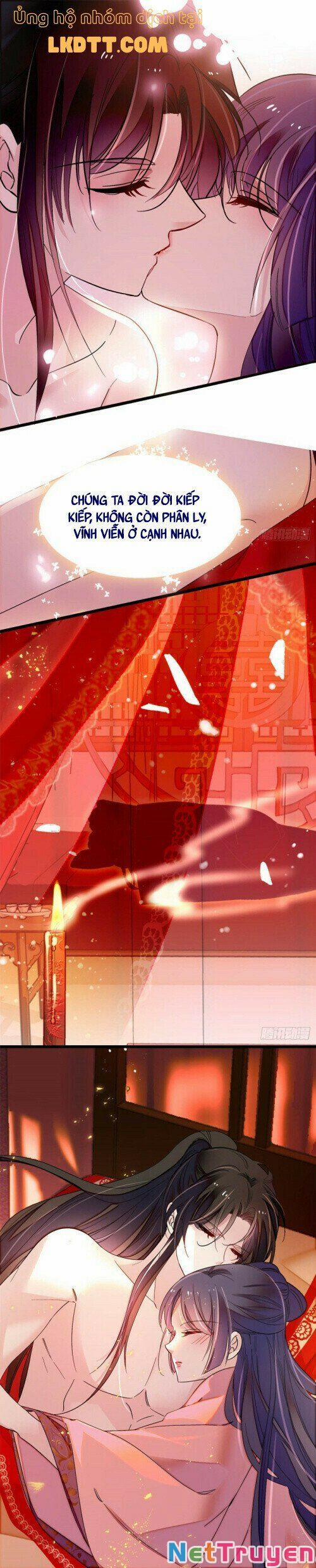 Tự Cẩm 136 trang 7