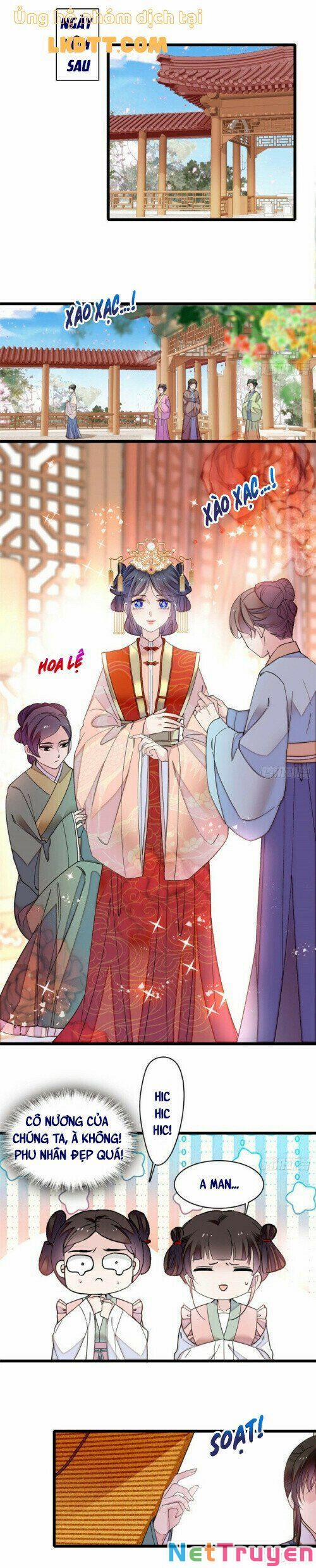 Tự Cẩm 136 trang 8