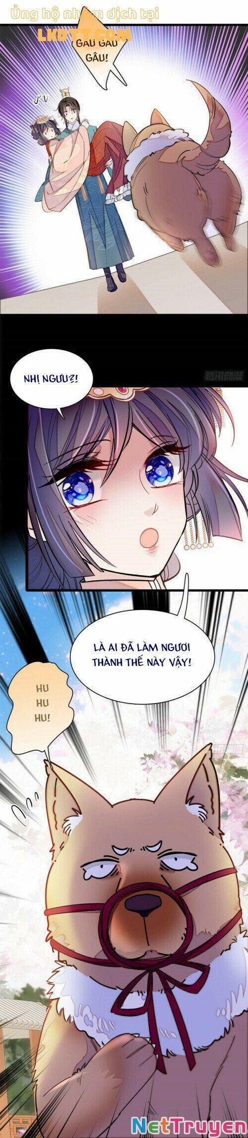 Tự Cẩm 139 trang 14