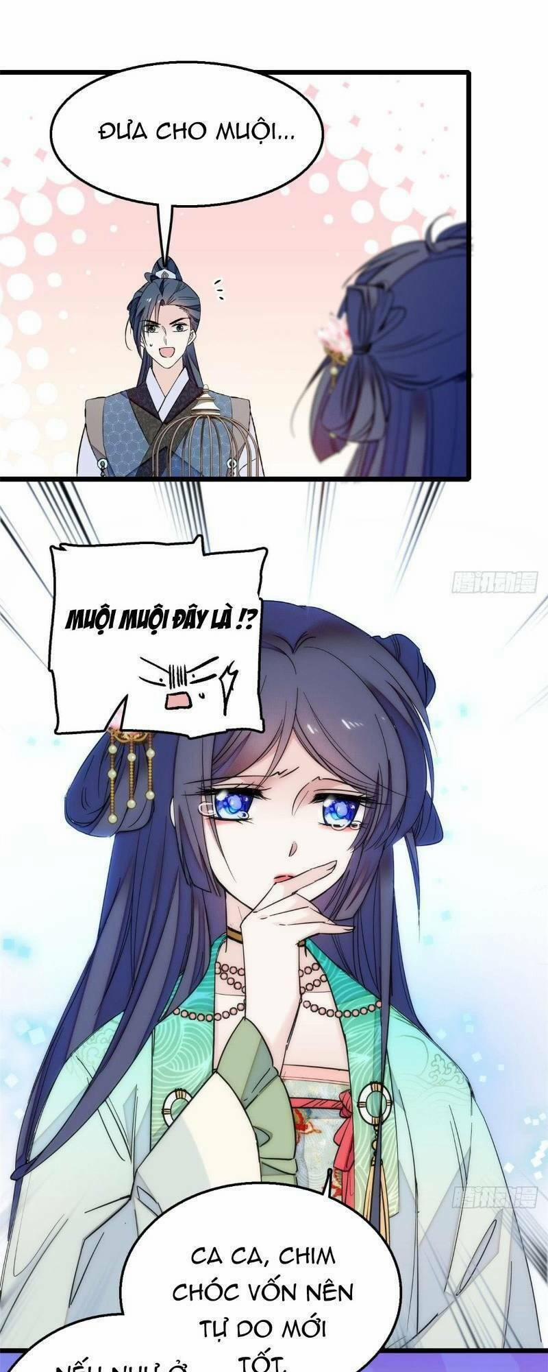 Tự Cẩm 14 trang 22