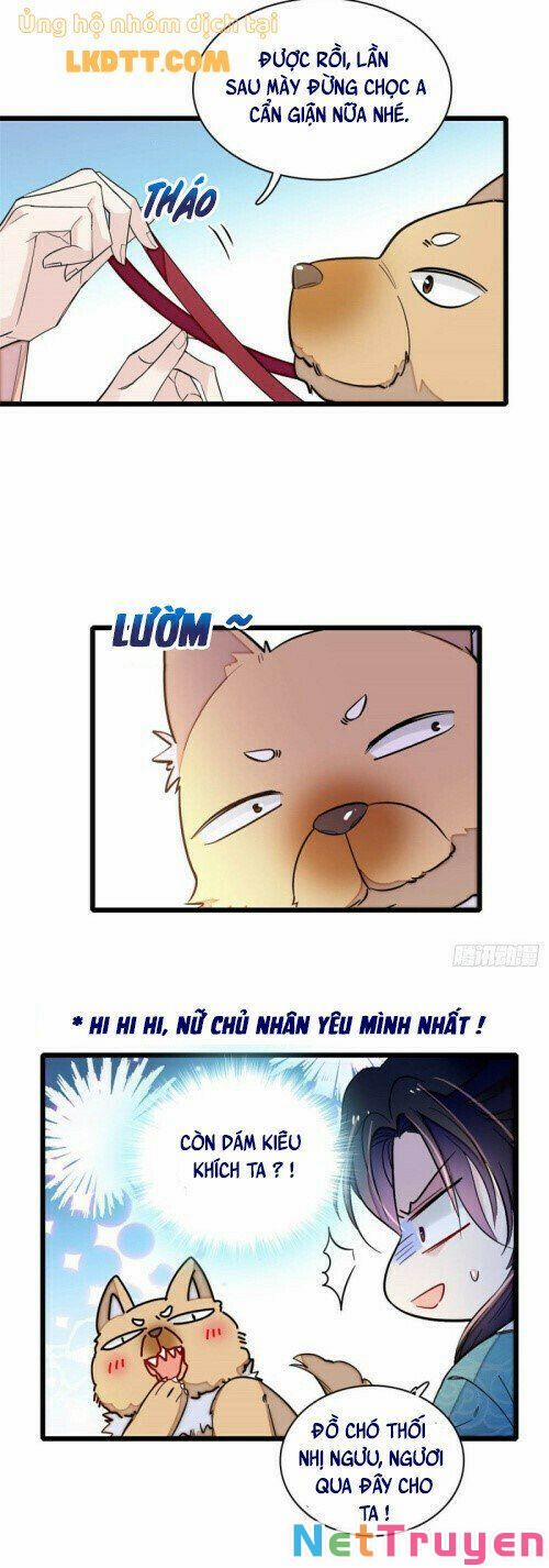 Tự Cẩm 140 trang 2