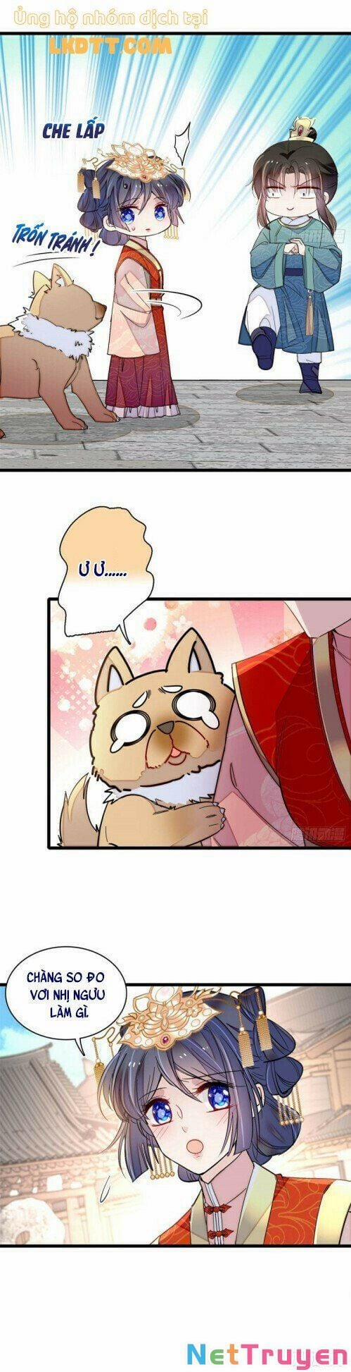 Tự Cẩm 140 trang 3