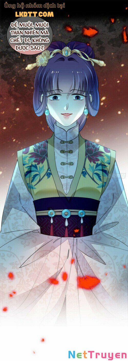 Tự Cẩm 142 trang 17