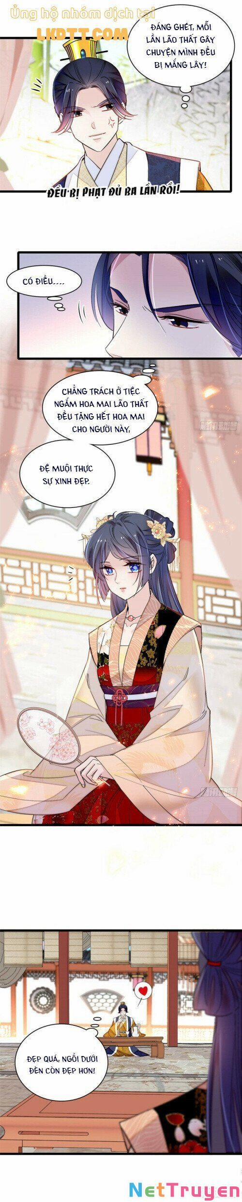 Tự Cẩm 143 trang 11