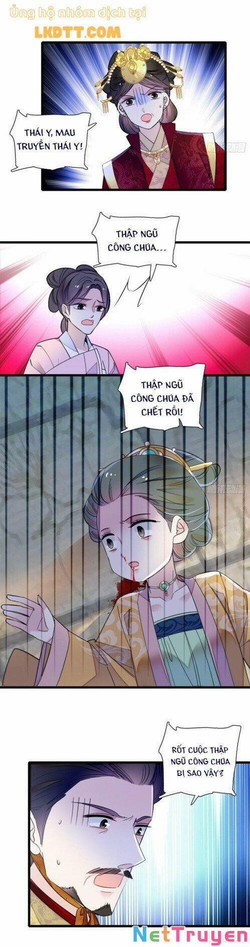 Tự Cẩm 144 trang 2