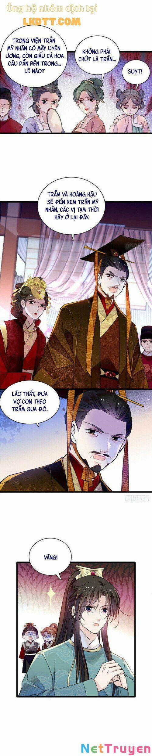 Tự Cẩm 145 trang 8