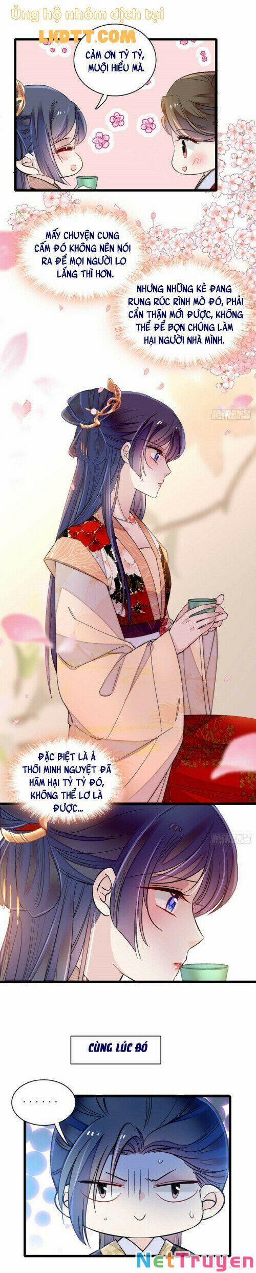 Tự Cẩm 146 trang 11