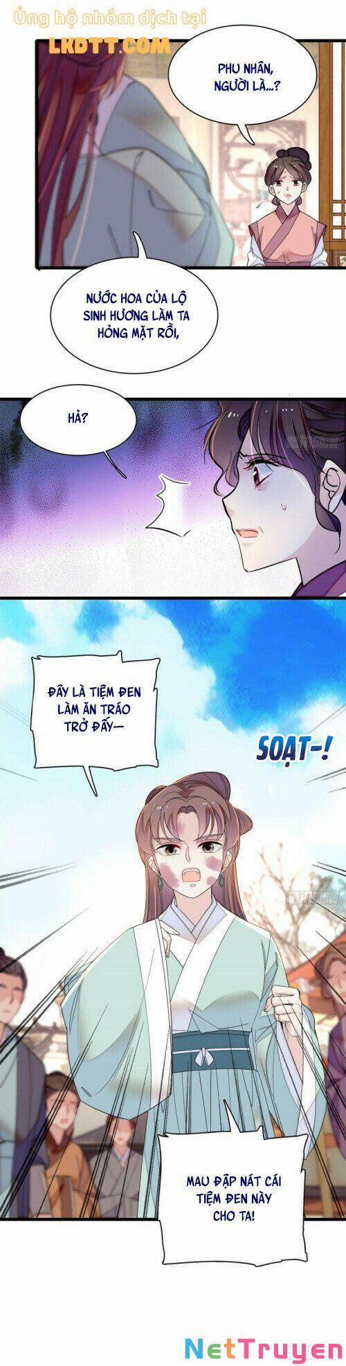 Tự Cẩm 146 trang 14