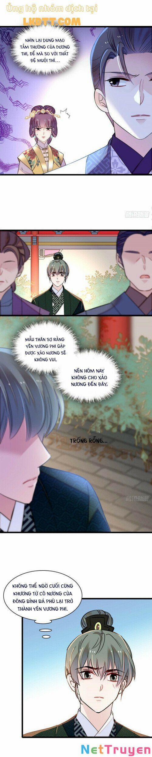 Tự Cẩm 148 trang 11