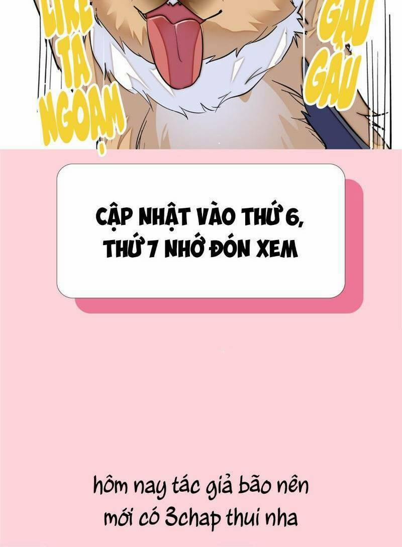 Tự Cẩm 15 trang 24