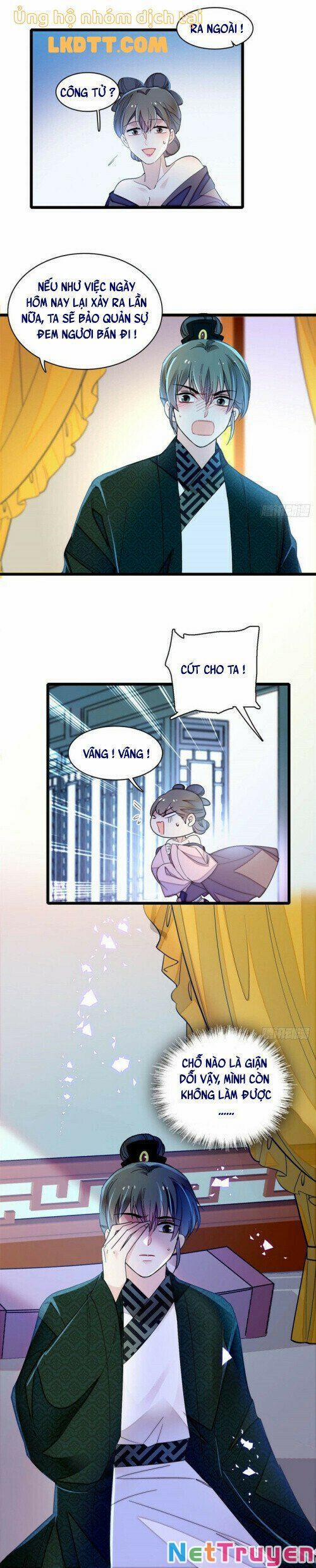 Tự Cẩm 151 trang 10