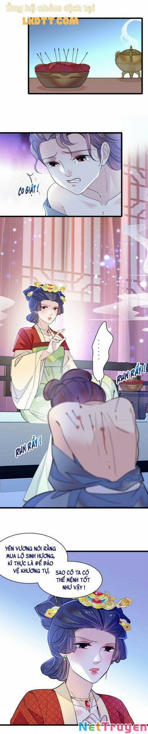 Tự Cẩm 151 trang 12