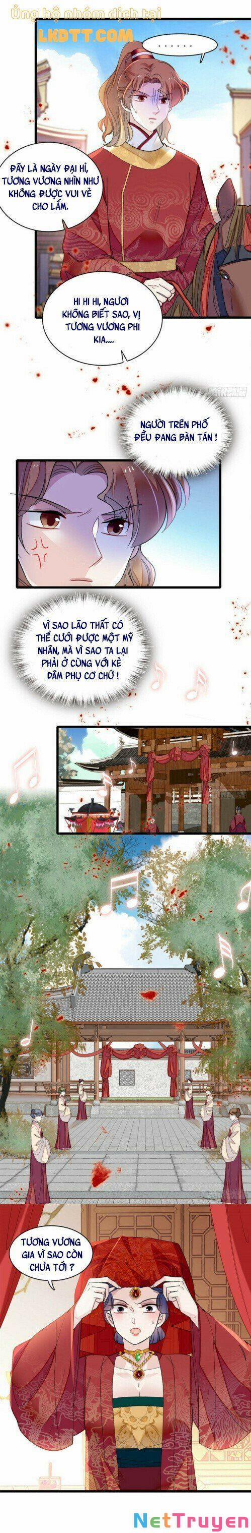 Tự Cẩm 151 trang 15