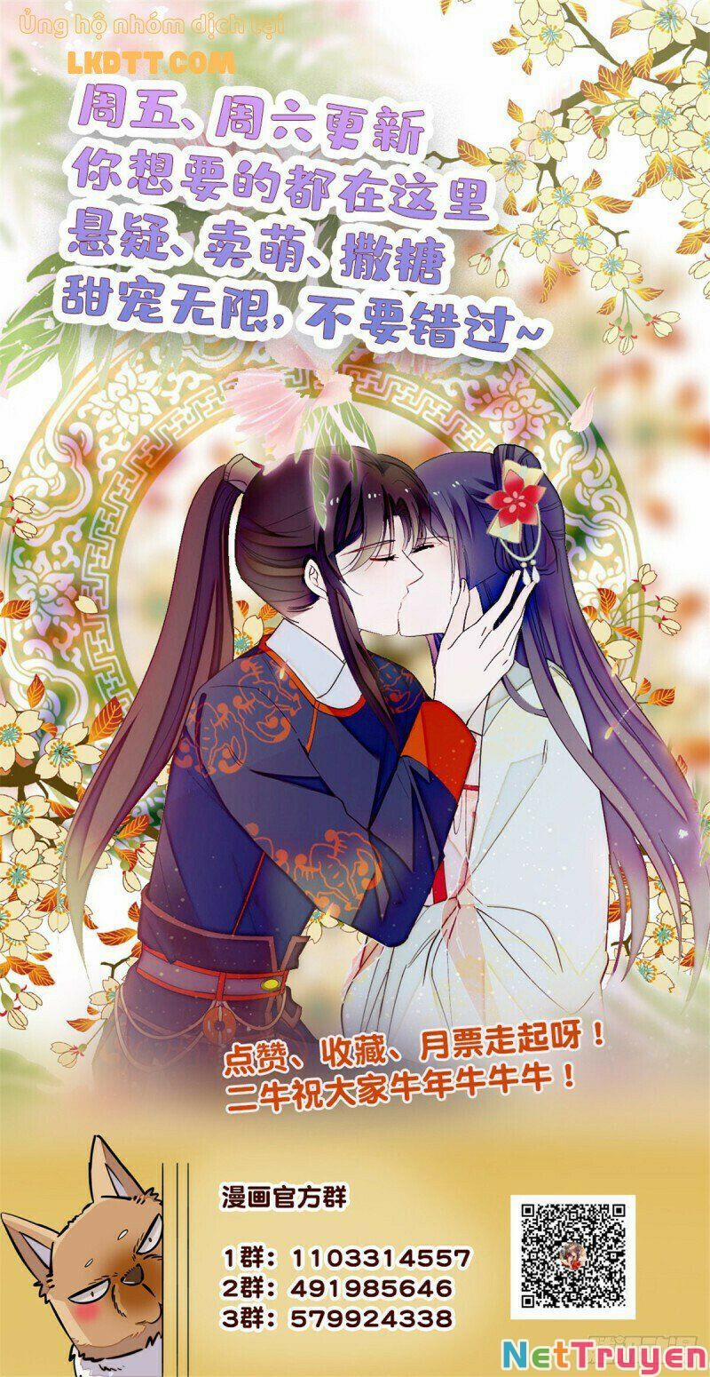 Tự Cẩm 151 trang 17