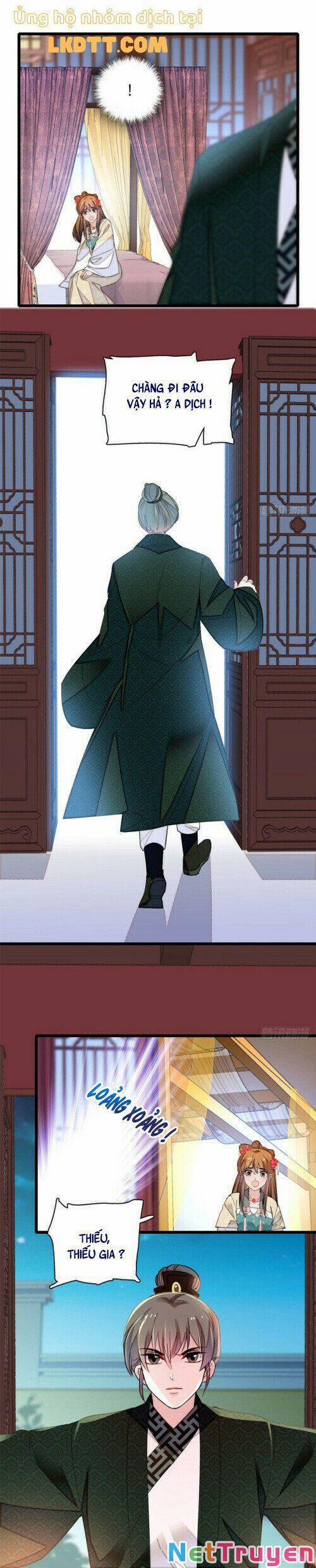 Tự Cẩm 151 trang 8