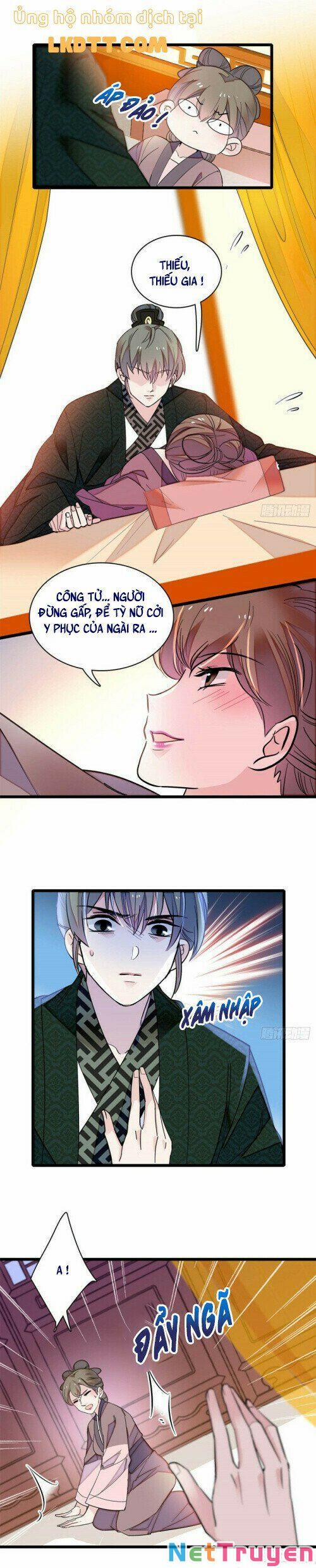 Tự Cẩm 151 trang 9