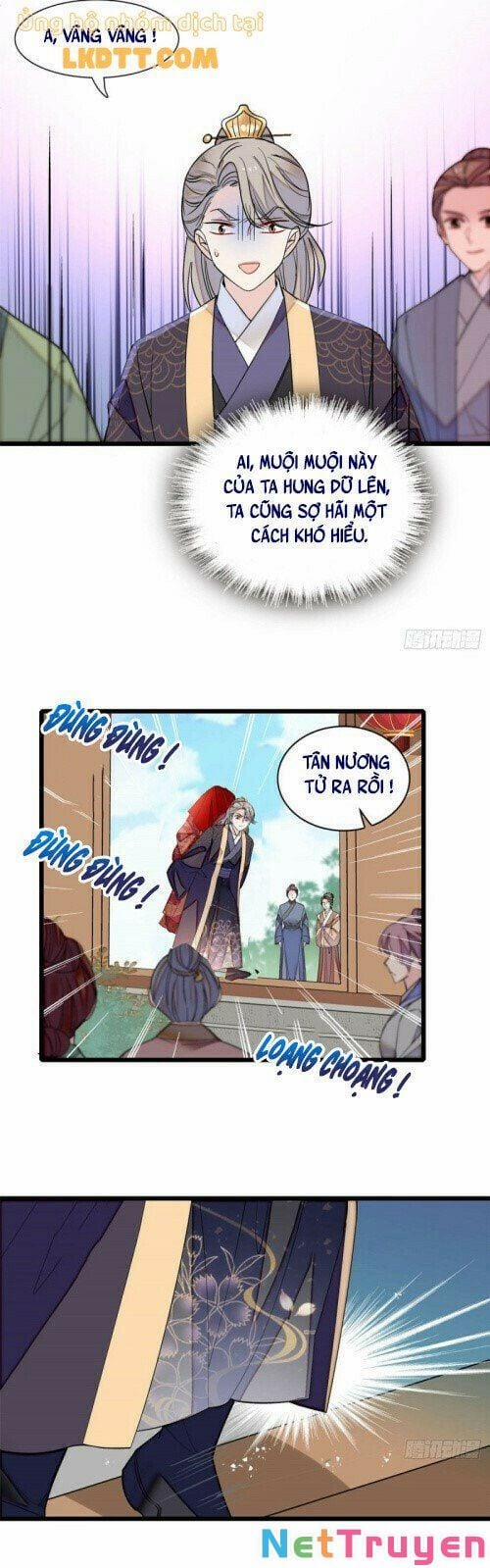 Tự Cẩm 152 trang 4