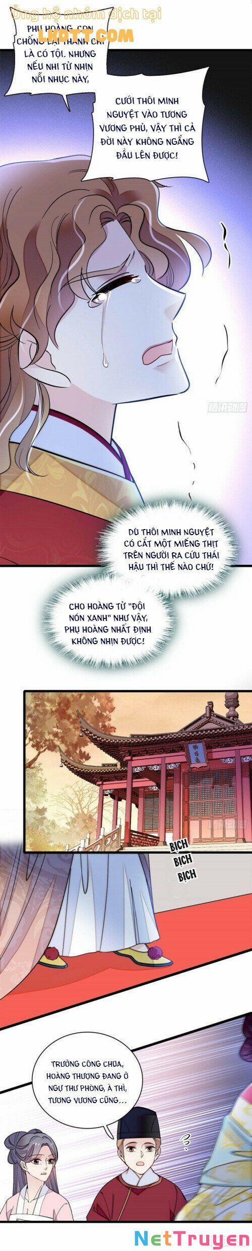 Tự Cẩm 153 trang 14