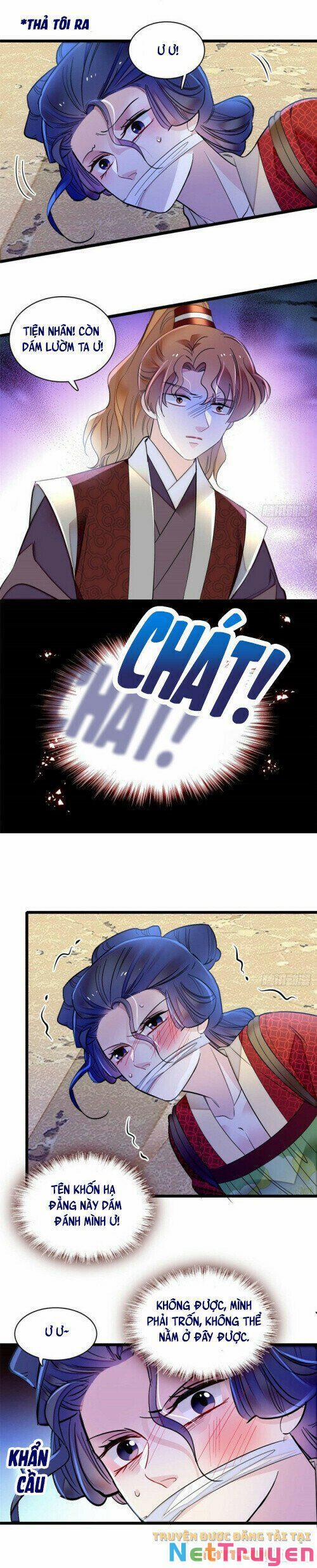 Tự Cẩm 156 trang 12