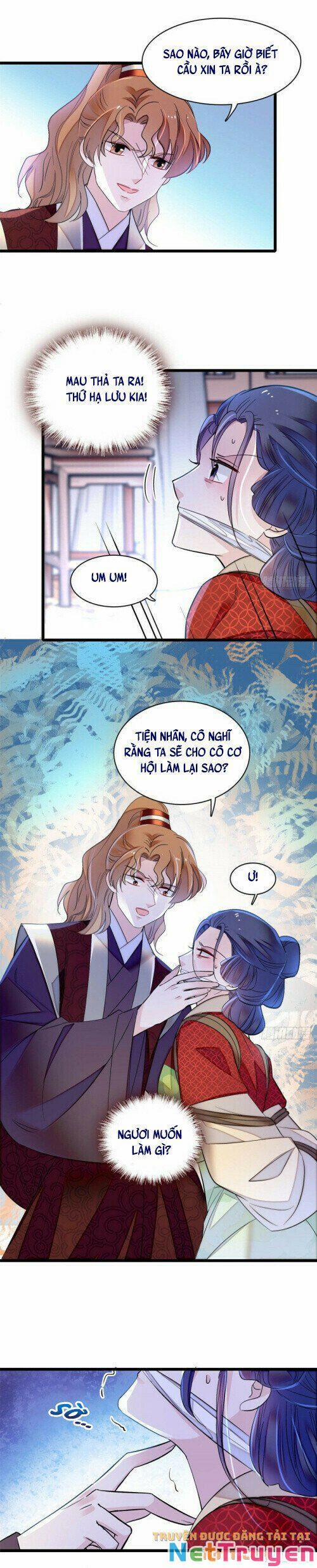 Tự Cẩm 156 trang 13