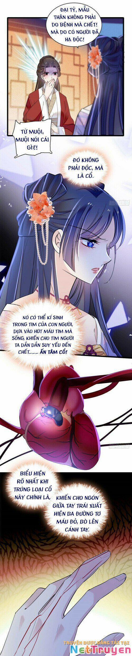 Tự Cẩm 159 trang 7