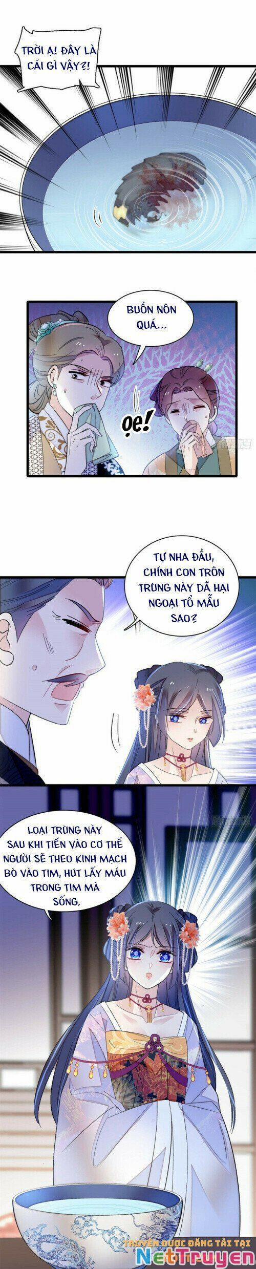 Tự Cẩm 160 trang 8