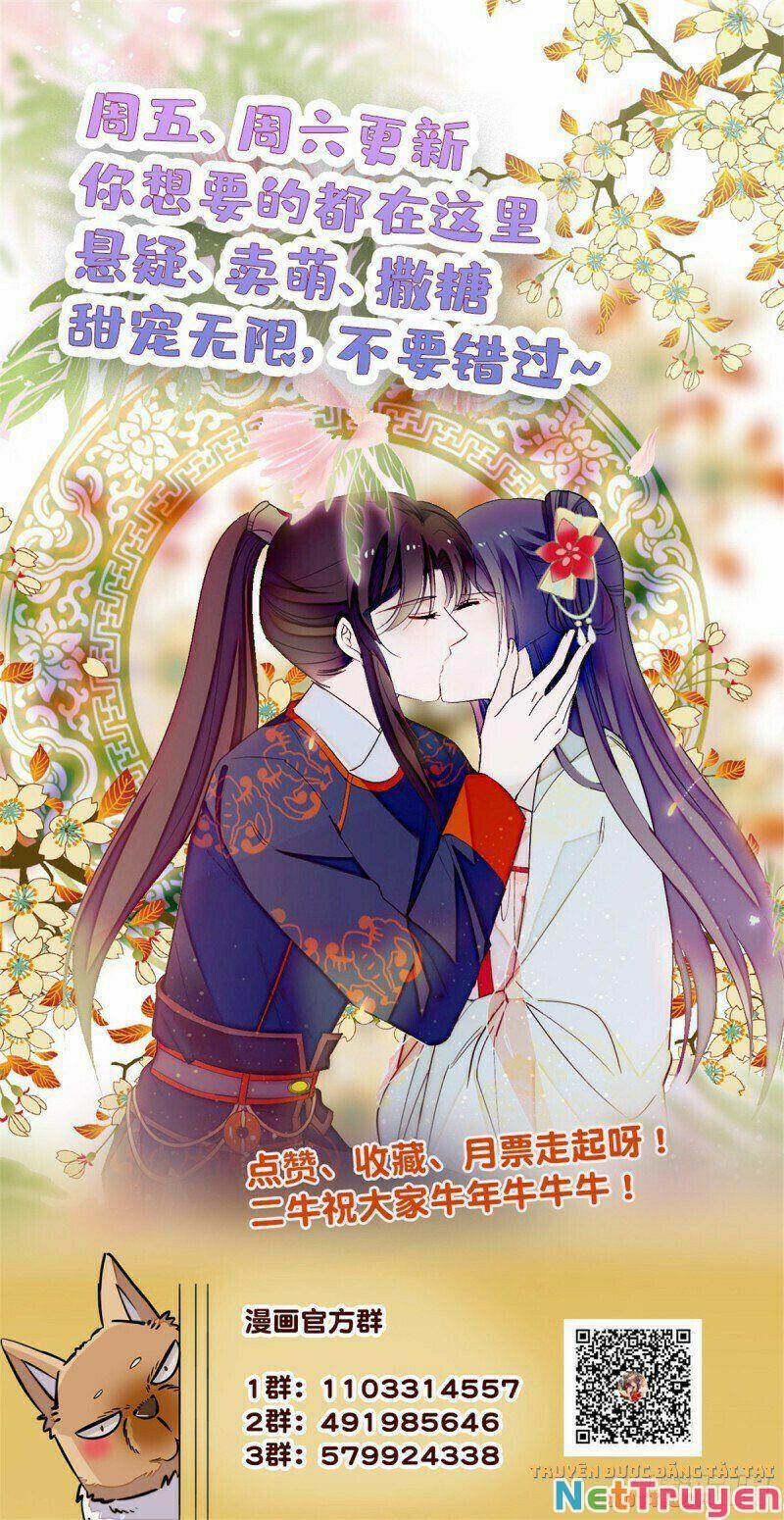 Tự Cẩm 161 trang 17