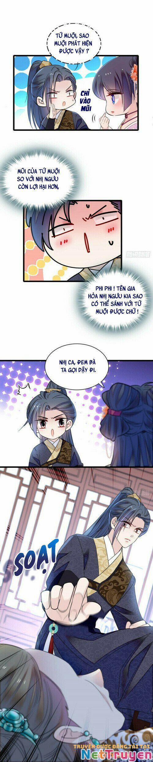 Tự Cẩm 161 trang 8