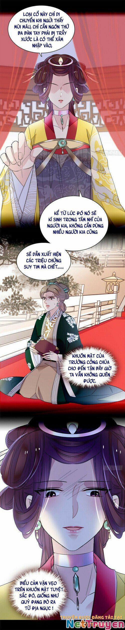 Tự Cẩm 162 trang 8