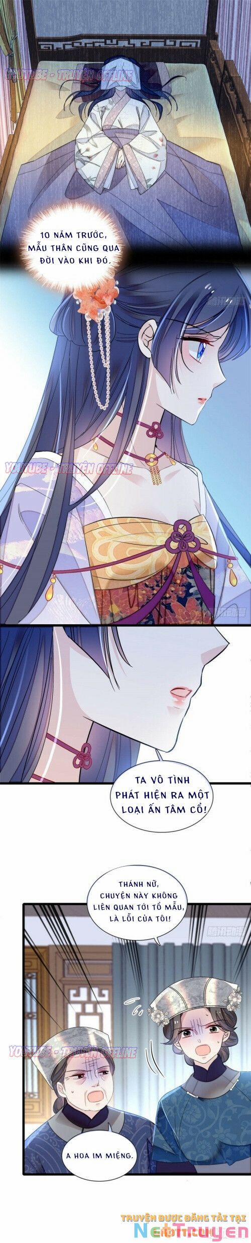Tự Cẩm 164 trang 8
