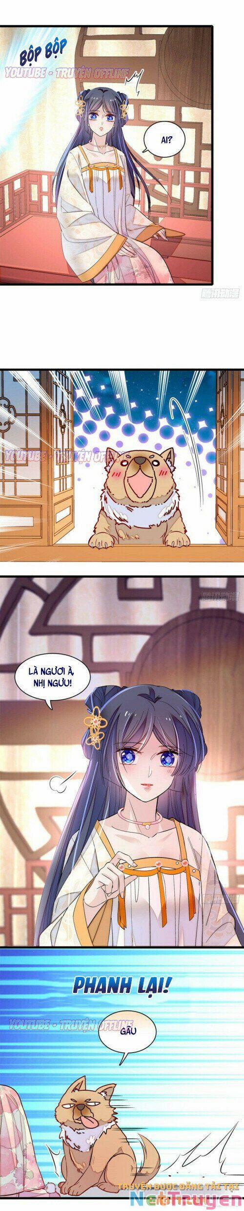 Tự Cẩm 165 trang 2