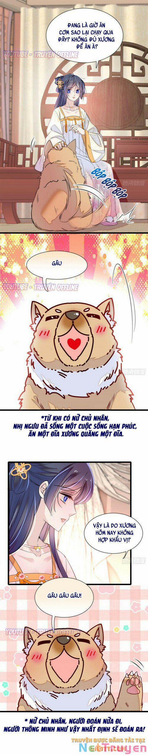 Tự Cẩm 165 trang 3