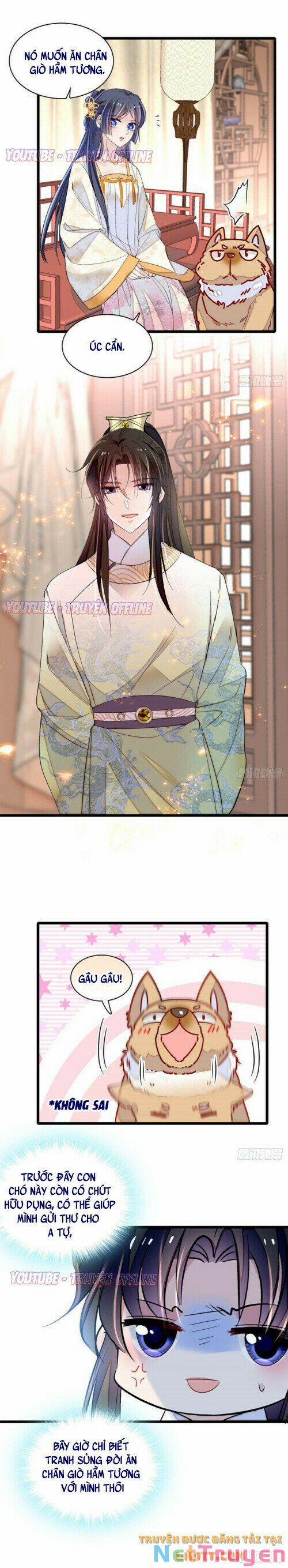 Tự Cẩm 165 trang 4