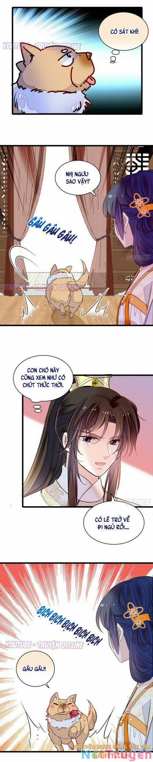 Tự Cẩm 165 trang 5