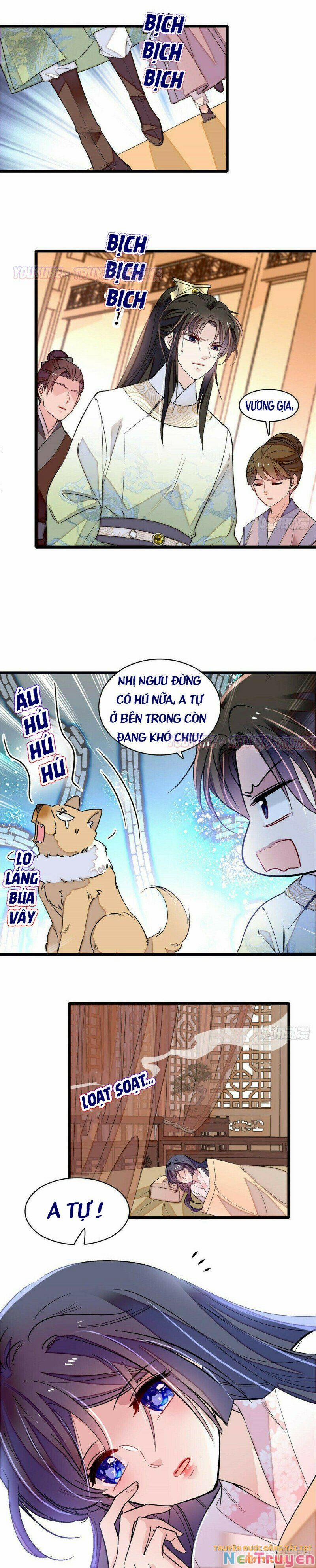 Tự Cẩm 166 trang 8