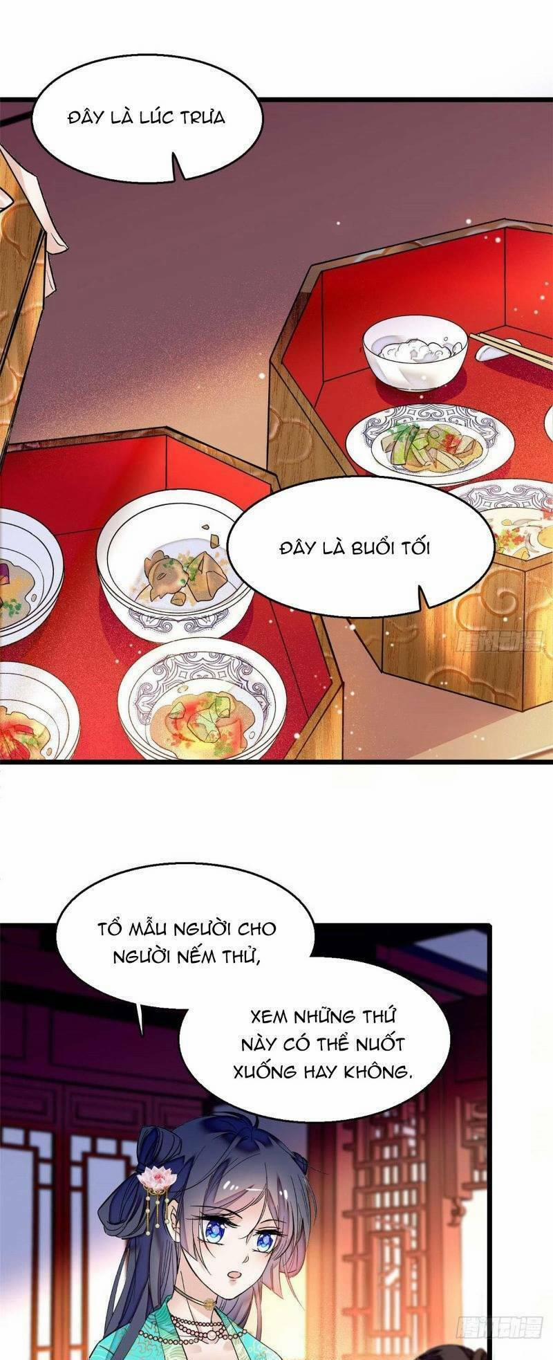 Tự Cẩm 18 trang 11