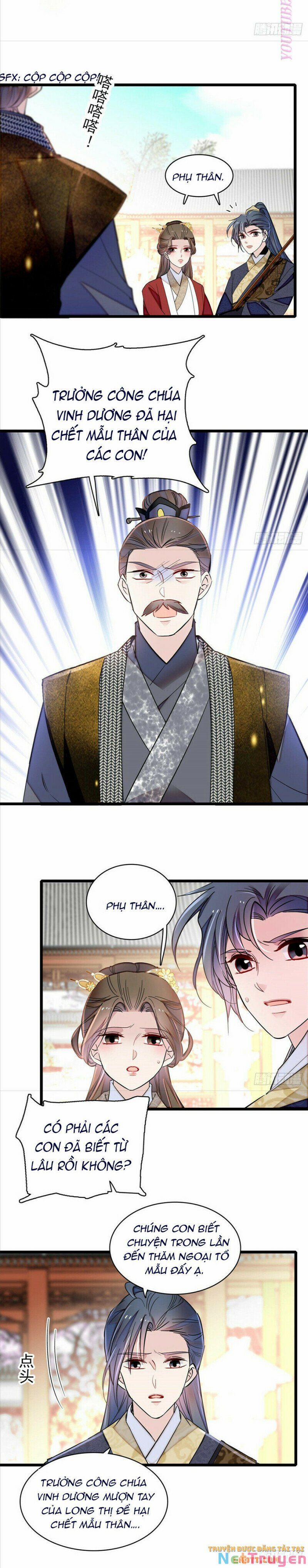 Tự Cẩm 202 trang 12