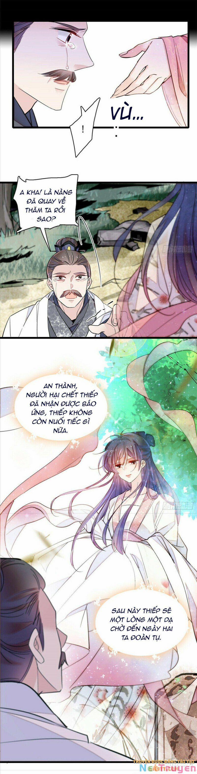 Tự Cẩm 202 trang 17