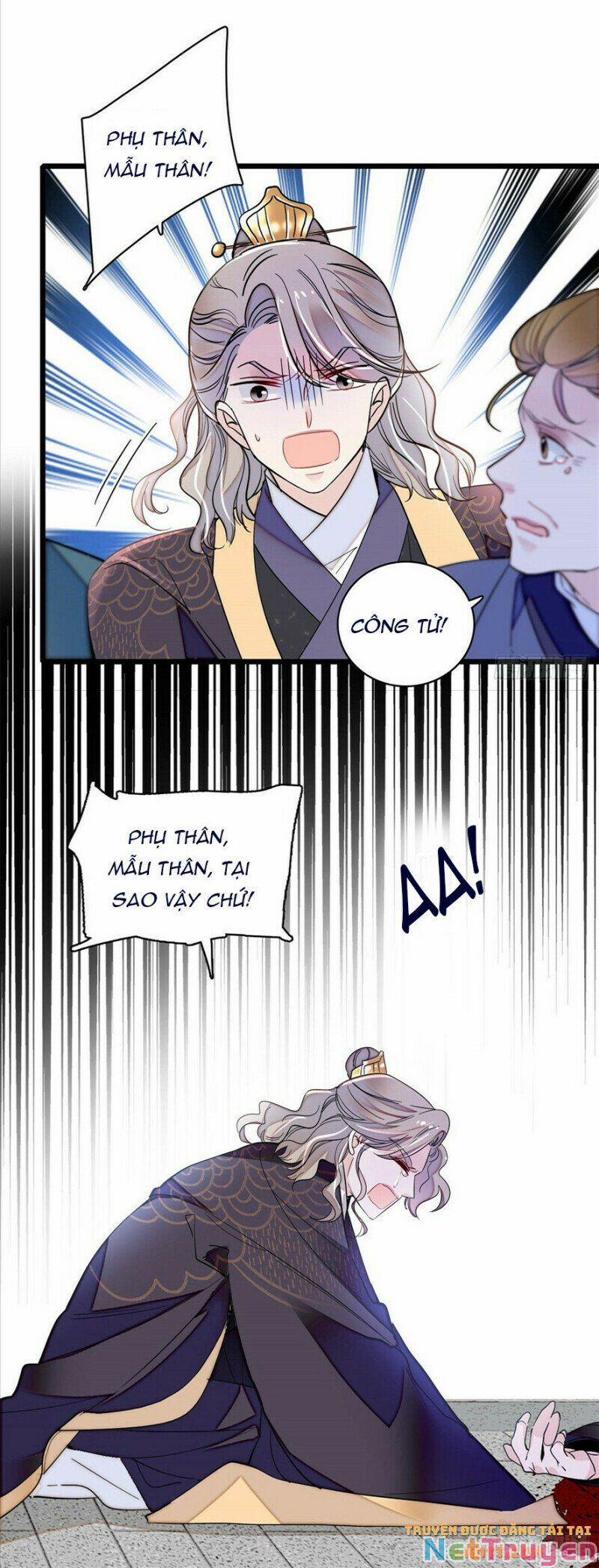 Tự Cẩm 202 trang 4