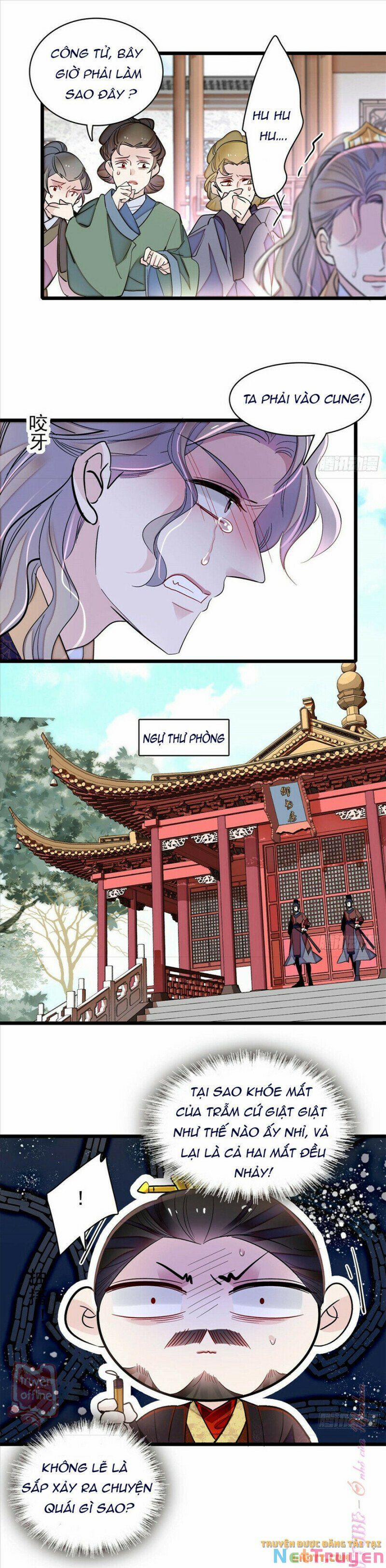 Tự Cẩm 202 trang 5