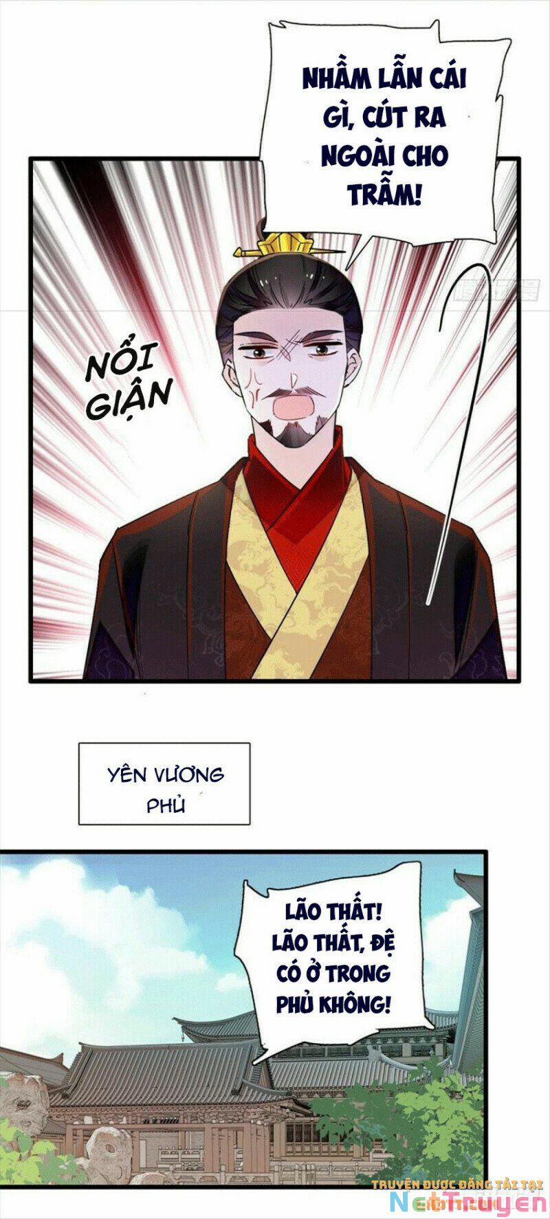 Tự Cẩm 203 trang 13