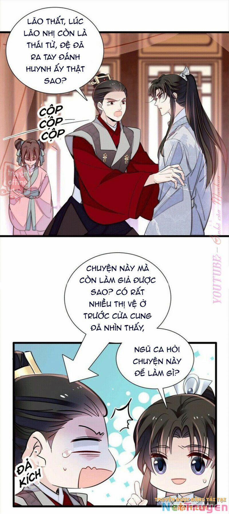 Tự Cẩm 203 trang 14