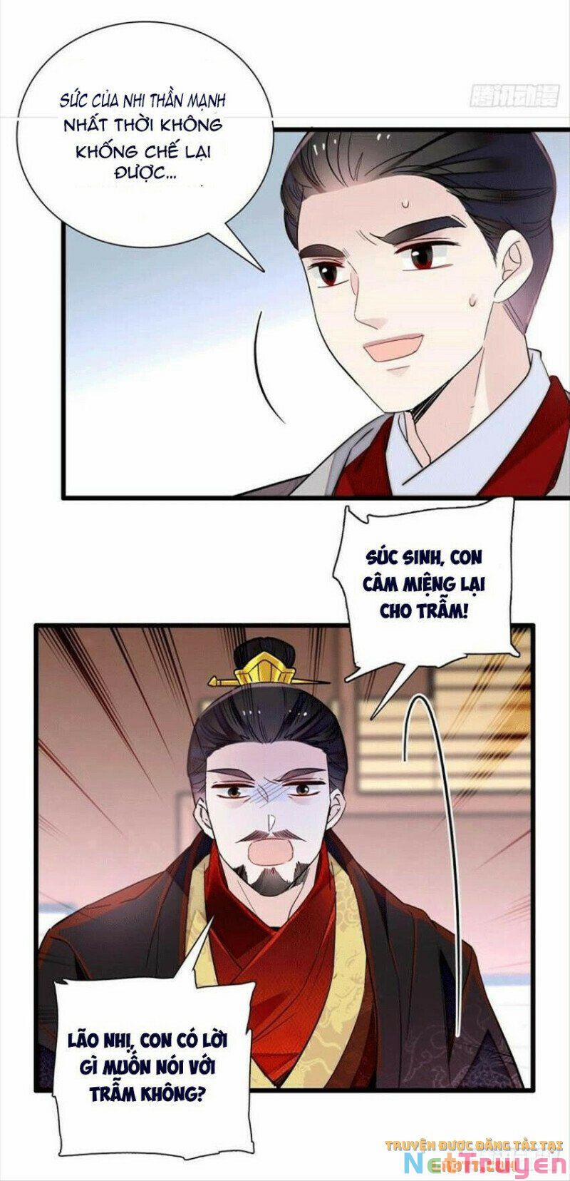 Tự Cẩm 203 trang 9